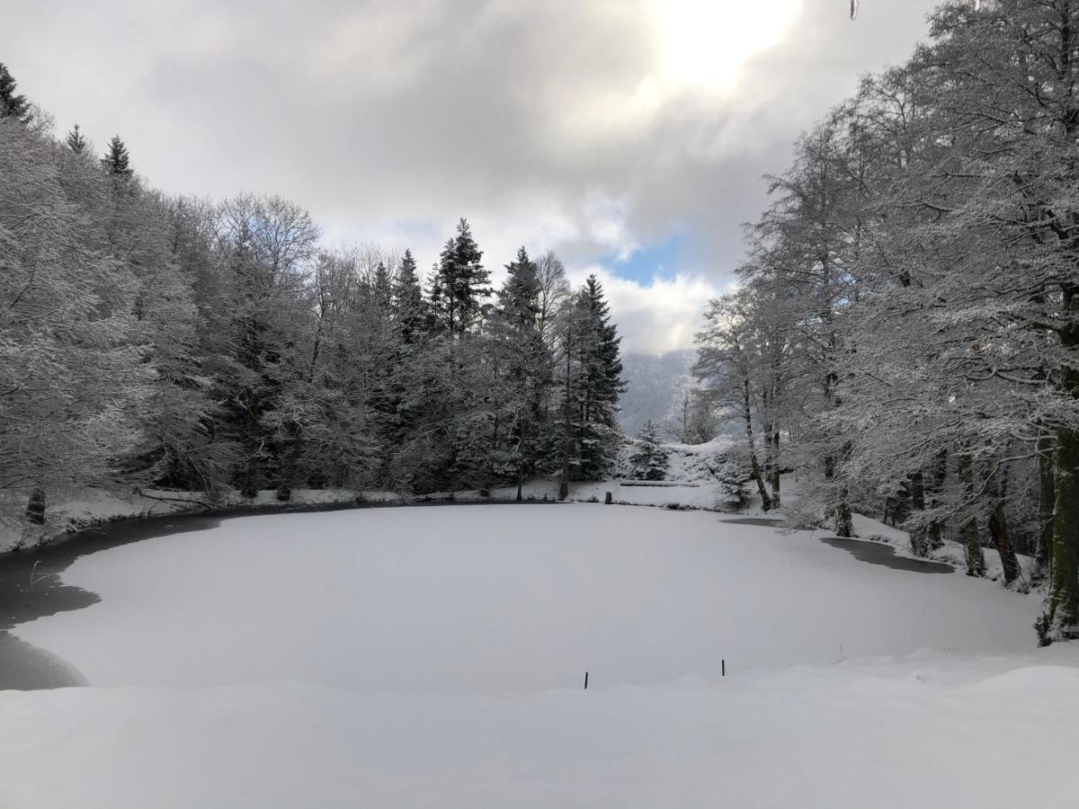 Kruth Accomodatie In Villa Werschmatt المظهر الخارجي الصورة